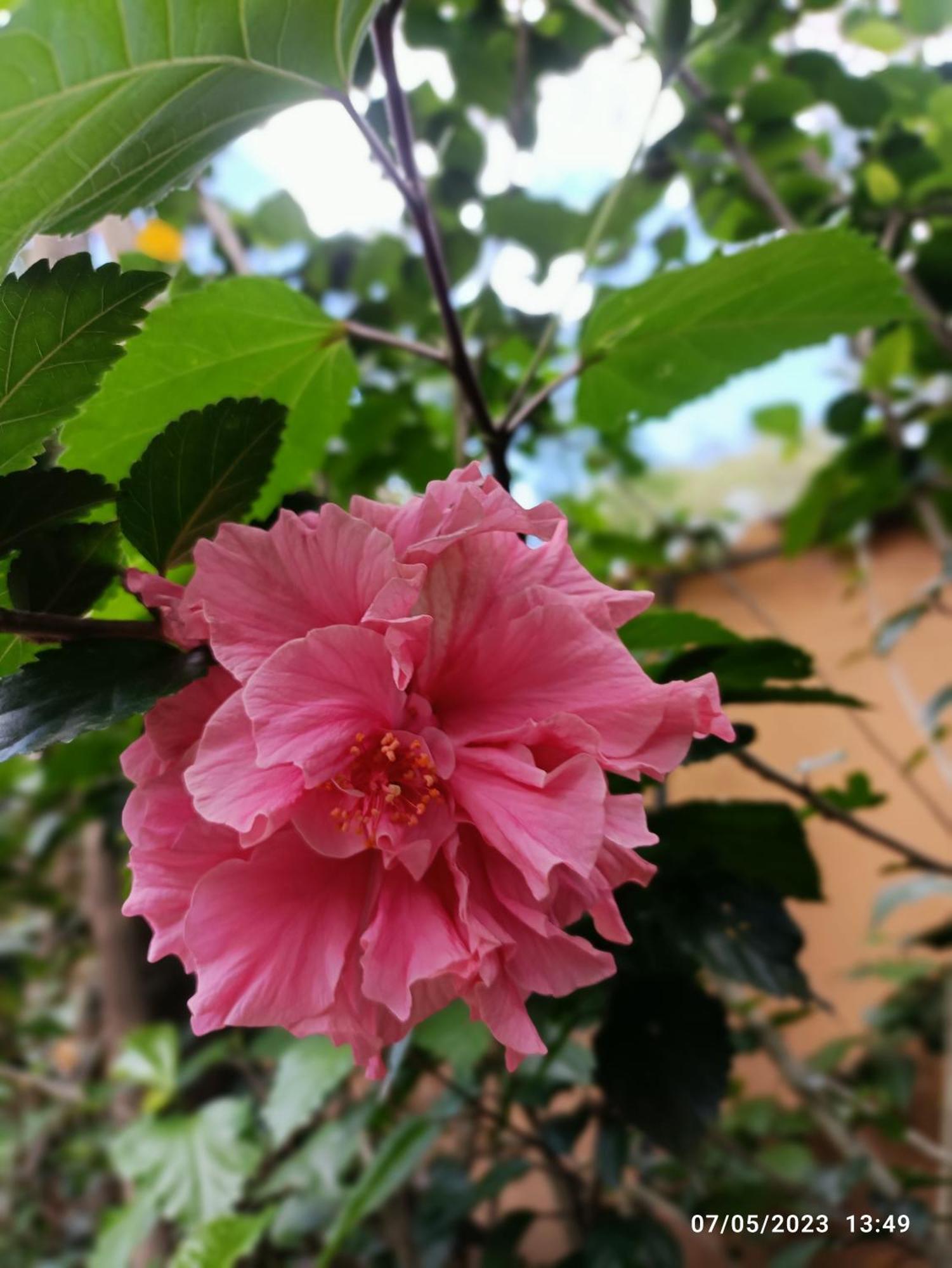 Bed and Breakfast La Casa De La Nonna Quito Zewnętrze zdjęcie